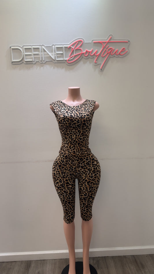 Jungle Fever | Set