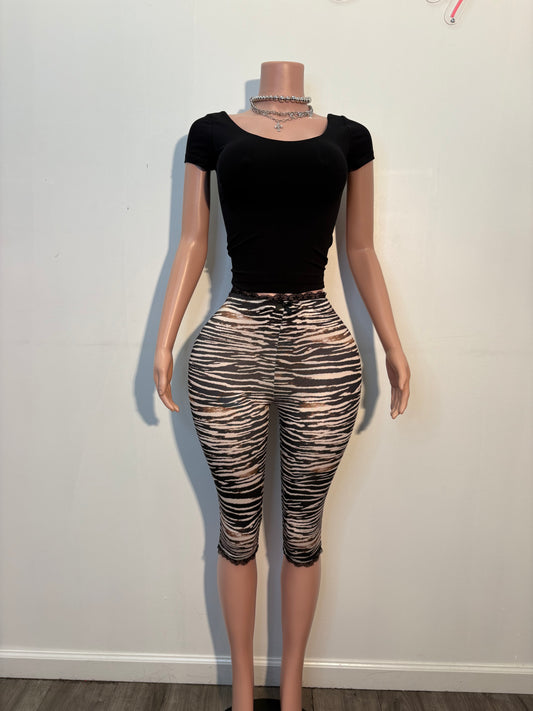 Zebra | Capri