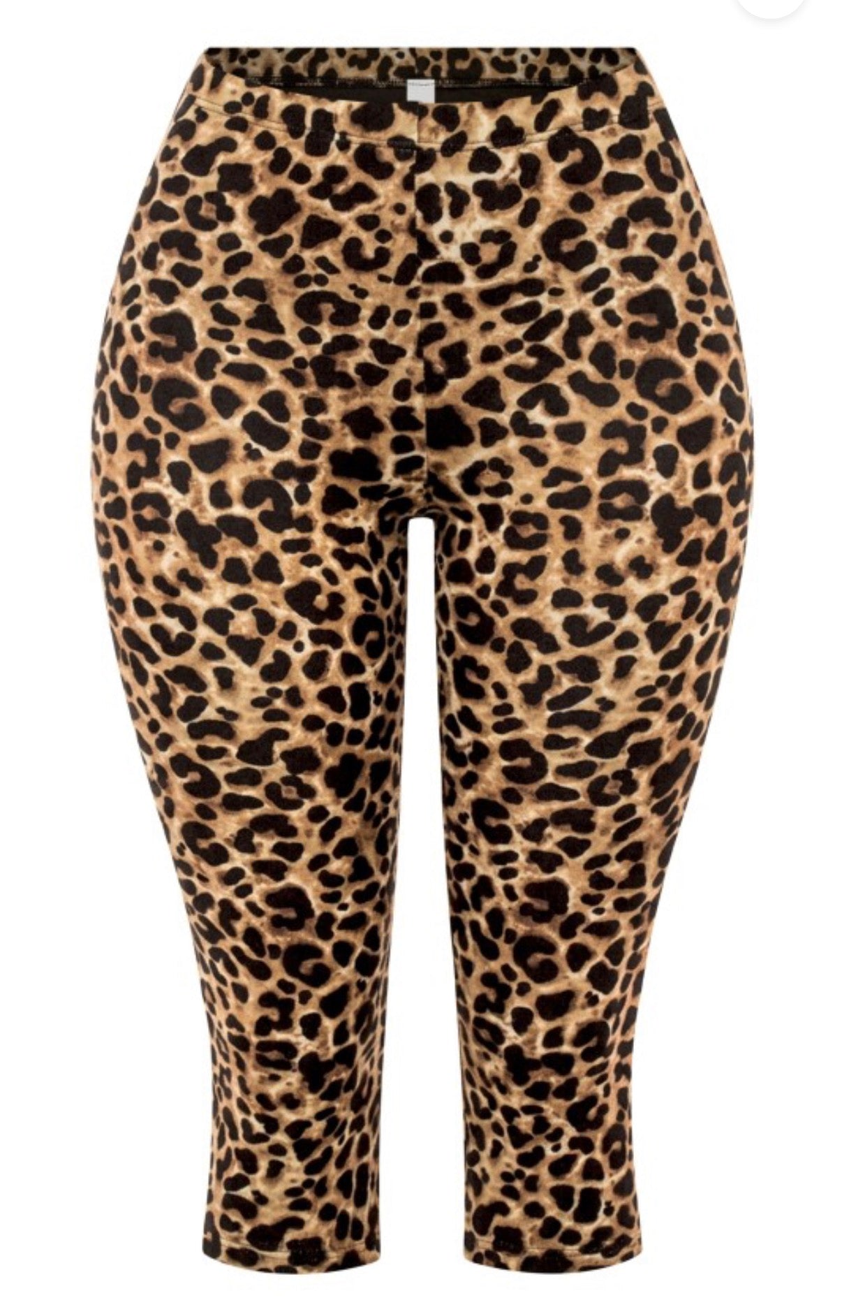 Jungle Fever | Set
